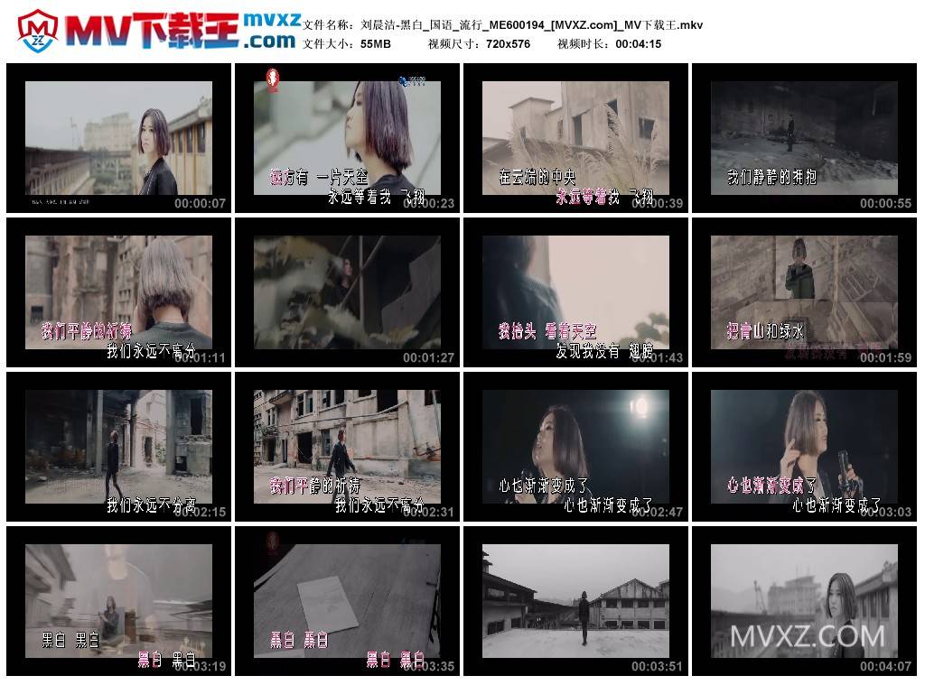 刘晨洁-黑白_国语_流行_ME600194